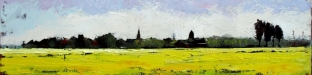 schilderij-koolzaadveld-en-met-zicht-op-bedum-olieverf-op-doek-20x80cm schilderij-koolzaadveld-en-met-zicht-op-bedum-olieverf-op-doek-20x80cm